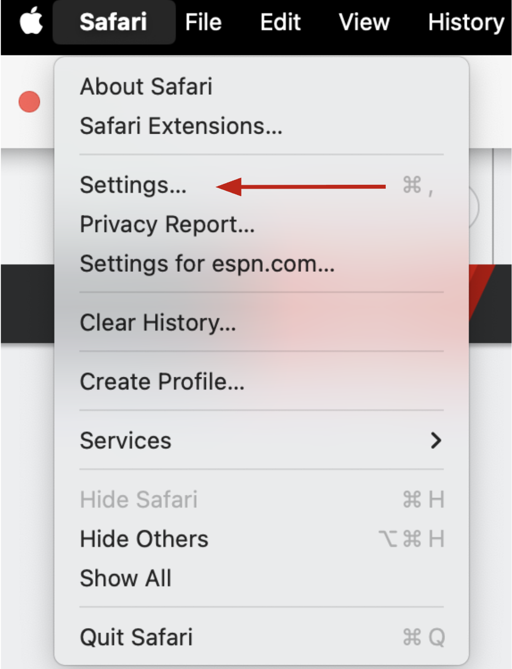 Safari Step 0